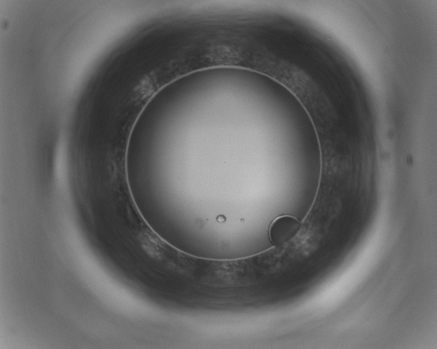 X0000073870765200608171007