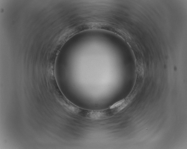 X0000073870766200608171007