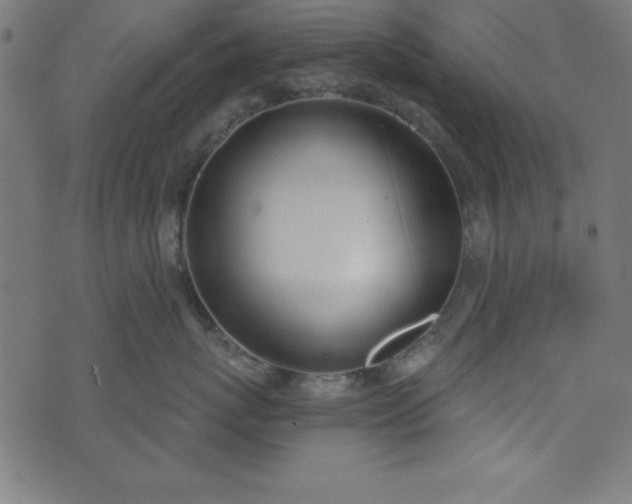 X0000073870767200608171007