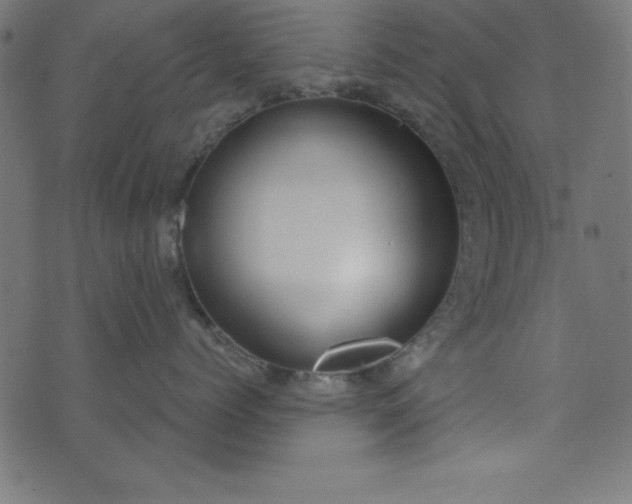 X0000073870768200608171007