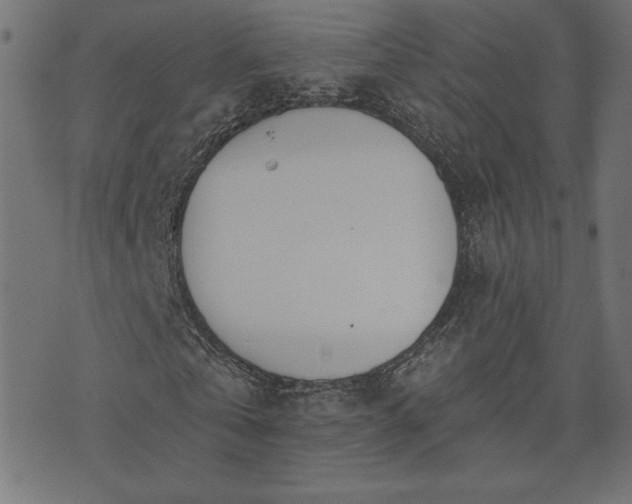 X0000073870769200608171006