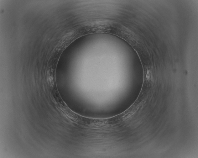 X0000073870771200608171006