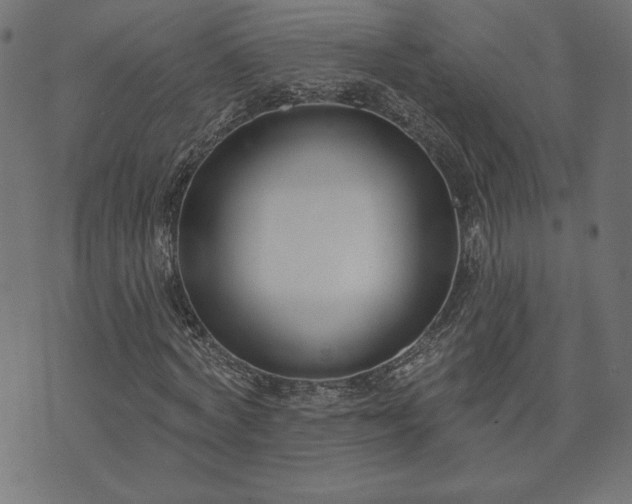 X0000073870772200608171006