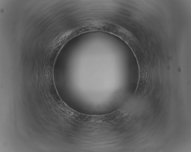 X0000073870773200608171006