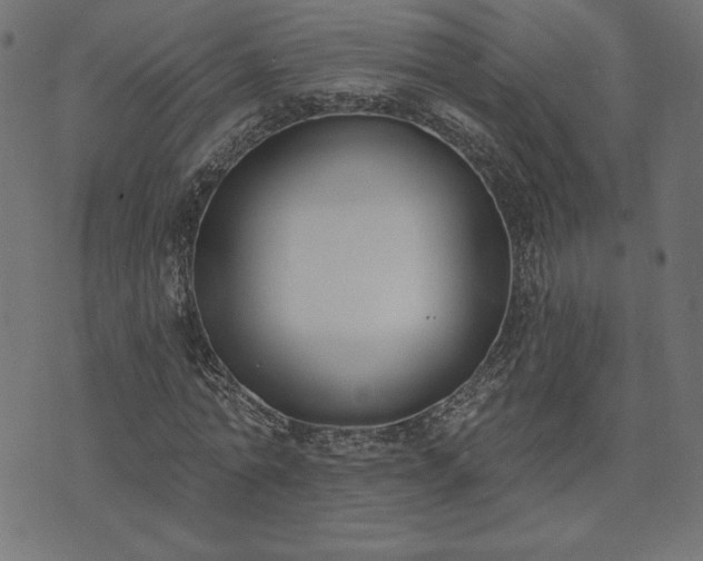 X0000073870774200608171006