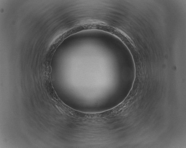 X0000073870775200608171006