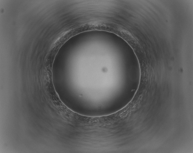 X0000073870776200608171006