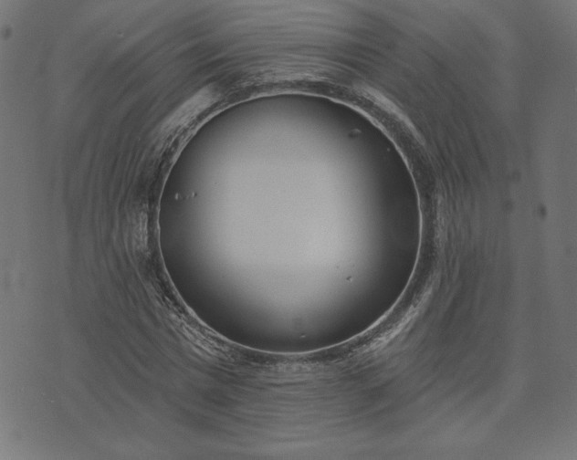 X0000073870777200608171006