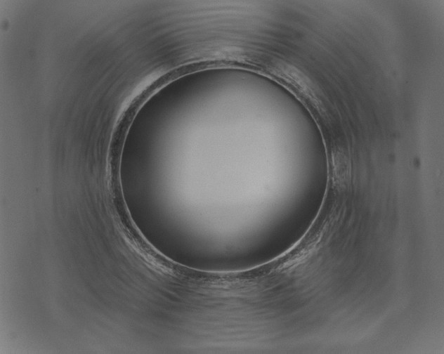 X0000073870780200608171006