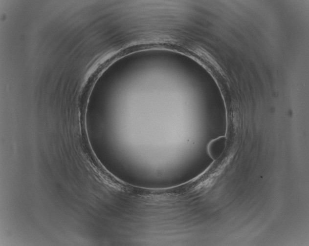 X0000073870781200608171006