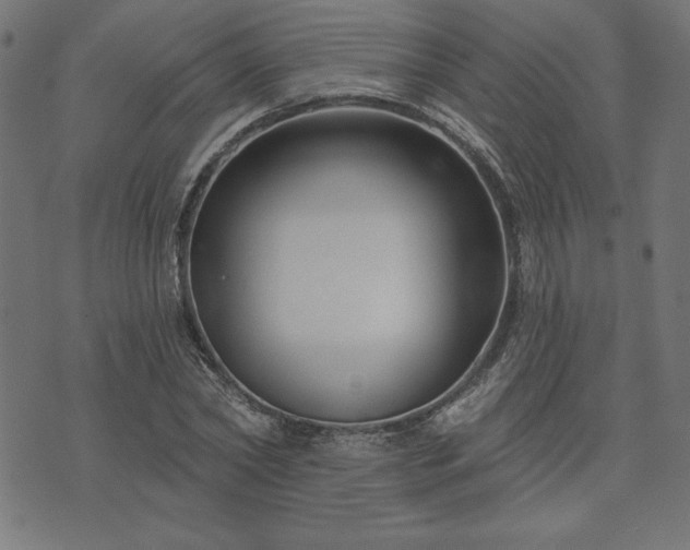 X0000073870782200608171006