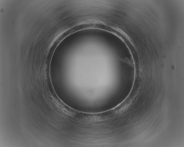 X0000073870783200608171006