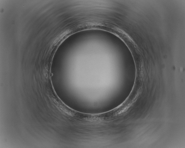 X0000073870785200608171006