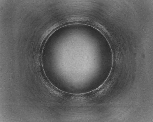 X0000073870786200608171006