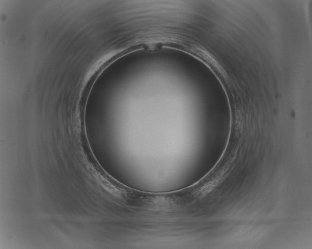 X0000073870787200608171006