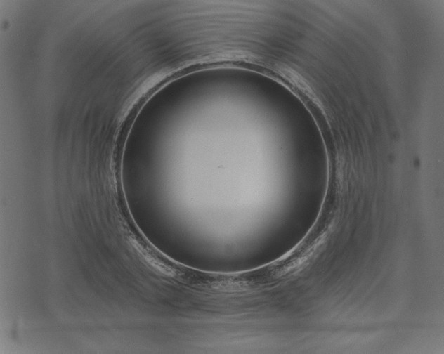 X0000073870789200608171006