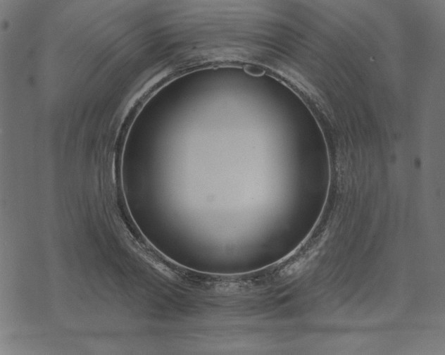 X0000073870790200608171006