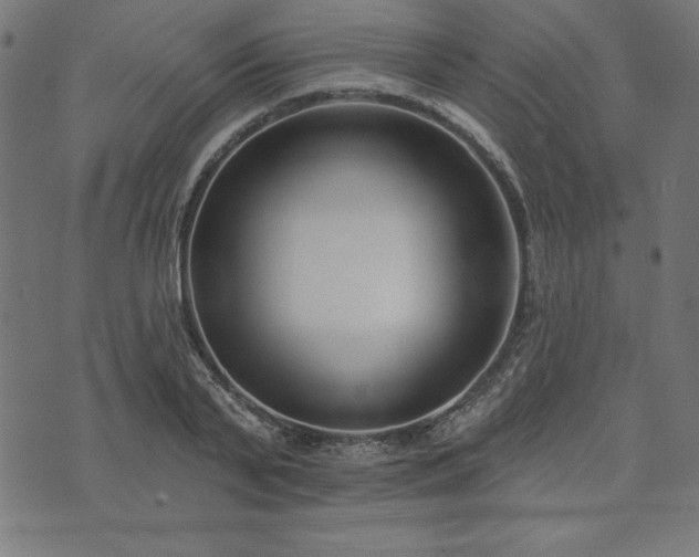 X0000073870791200608171006