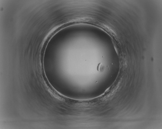 X0000073870792200608171006