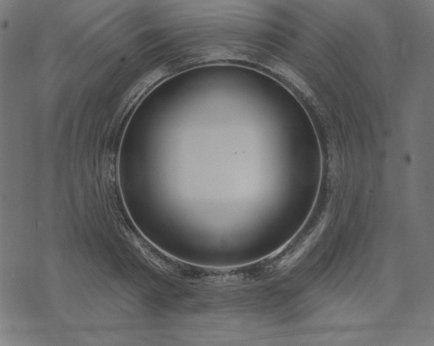 X0000073870793200608171006