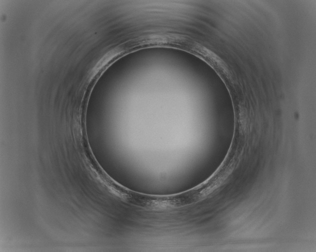 X0000073870794200608171006