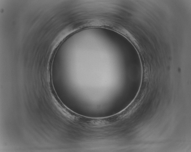 X0000073870795200608171006