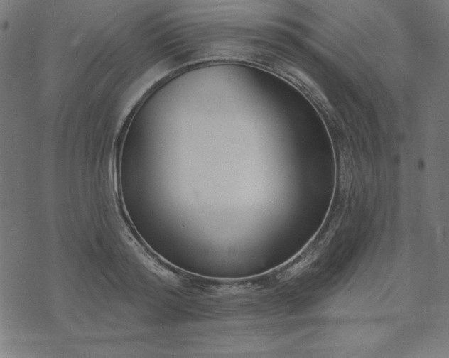 X0000073870796200608171006