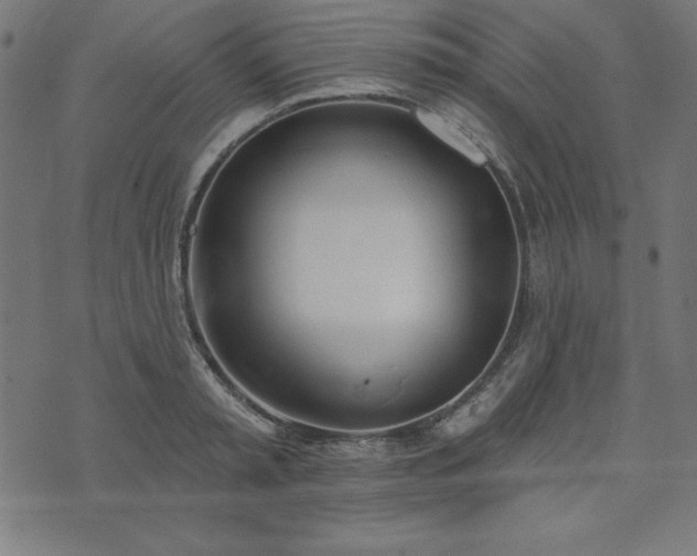 X0000073870797200608171006