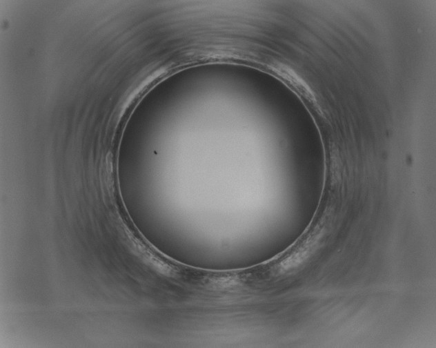 X0000073870798200608171006