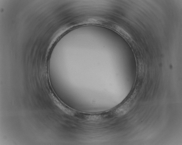 X0000073870800200608171006