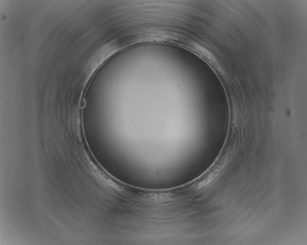 X0000073870802200608171006