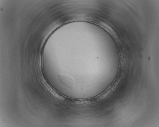 X0000073870804200608171006