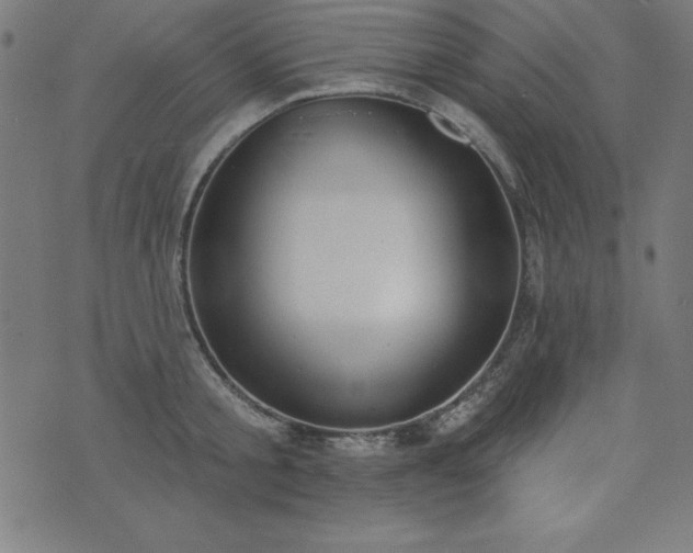 X0000073870805200608171006