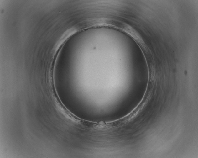 X0000073870806200608171006