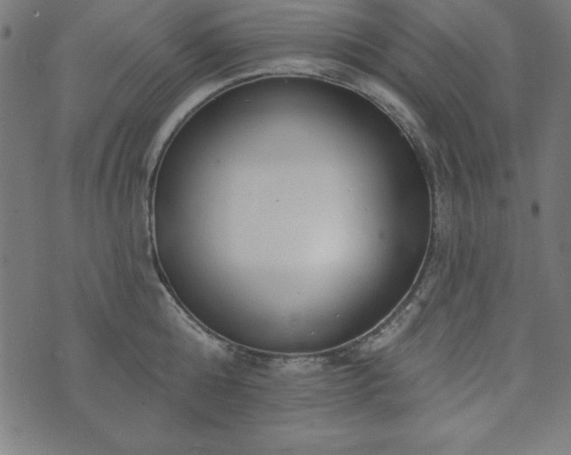 X0000073870808200608171006