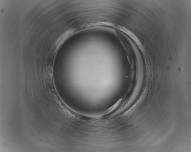 X0000073870809200608171006