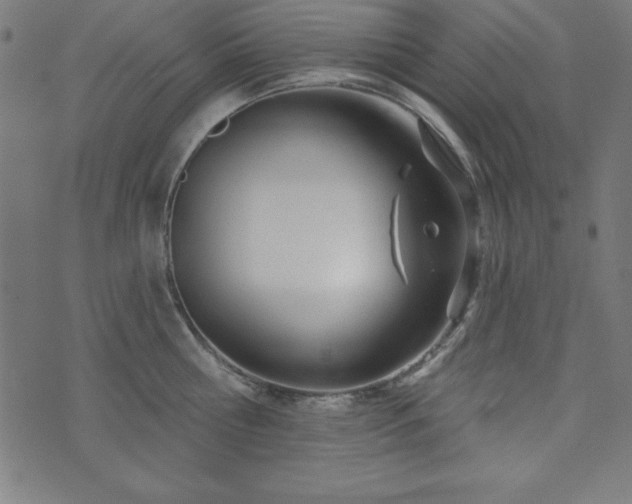 X0000073870810200608171006