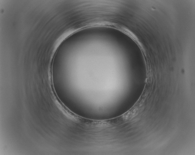 X0000073870811200608171006