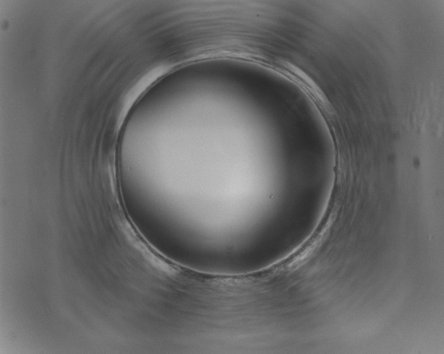 X0000073870812200608171006