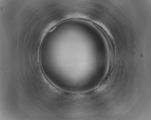 X0000073870815200608171006