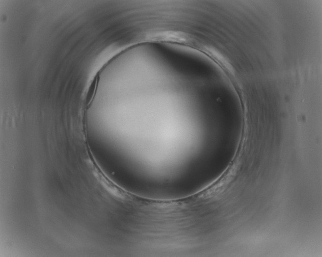 X0000073870816200608171006