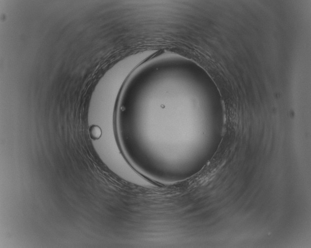 X0000073870818200608171005