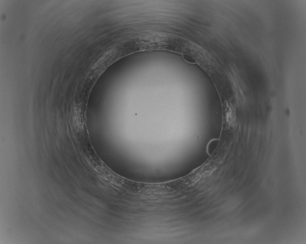 X0000073870819200608171005