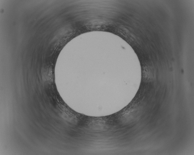 X0000073870820200608171005