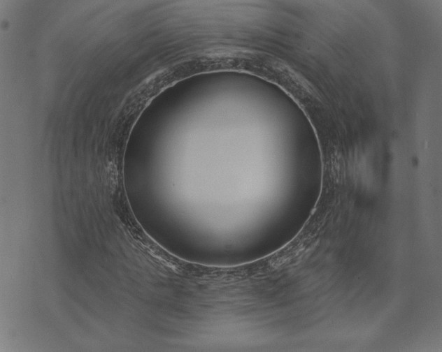 X0000073870821200608171005