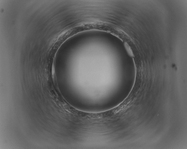 X0000073870822200608171005