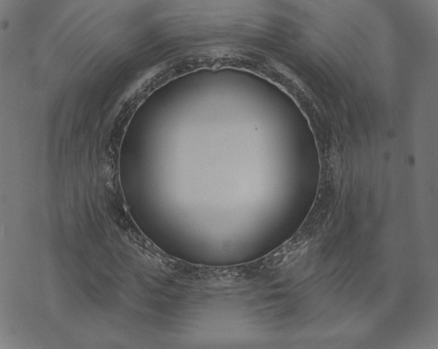 X0000073870823200608171005