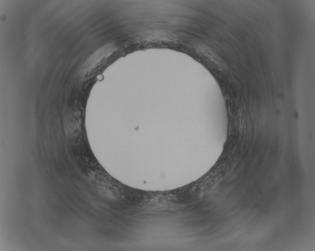 X0000073870824200608171005