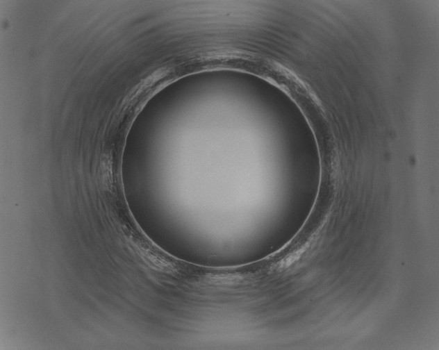 X0000073870825200608171005