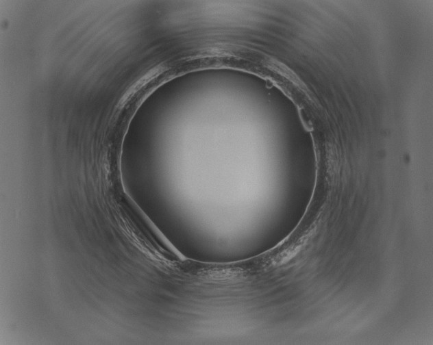 X0000073870826200608171005